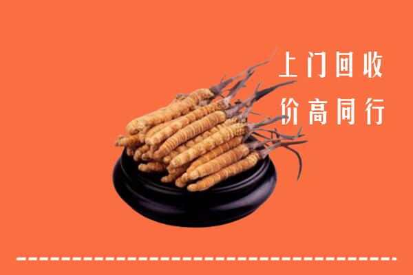 附近收购：松滋市冬虫夏草回收多少钱每克