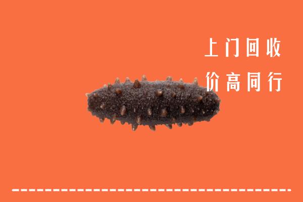 附近收购：松滋市回收海参