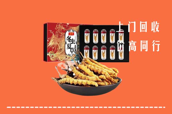 附近收购：松滋市回收虫草